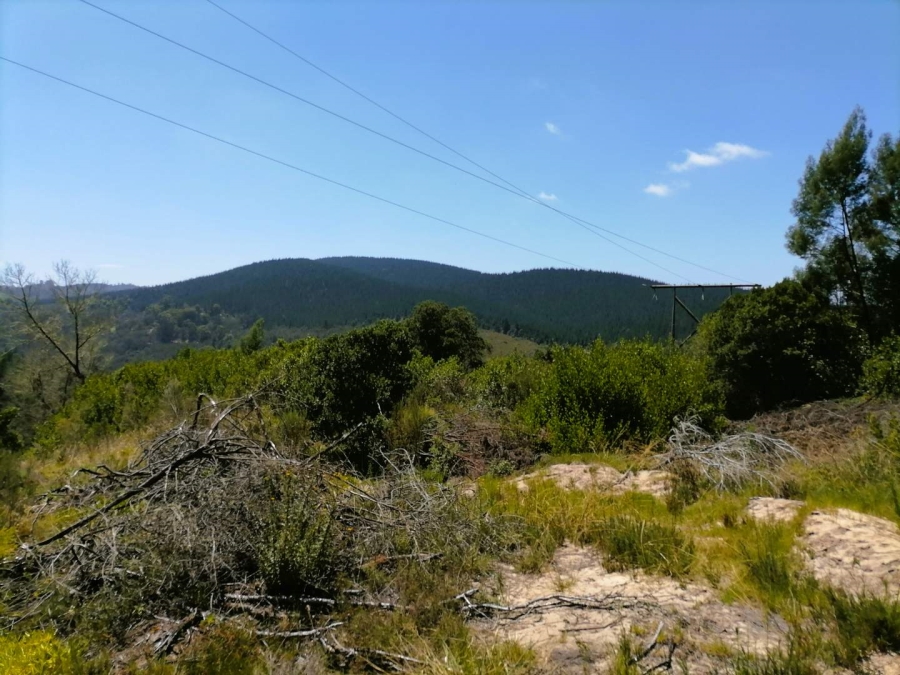 0 Bedroom Property for Sale in Sedgefield Central Western Cape